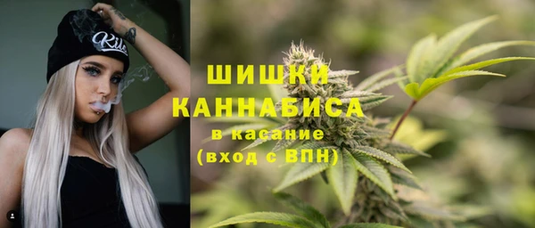 молекула духа Усинск