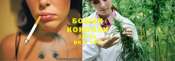 молекула духа Усинск