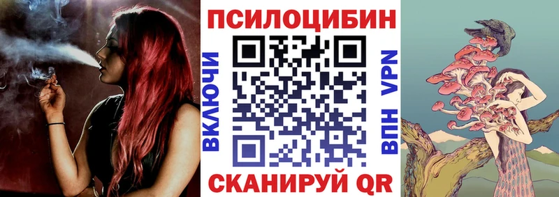 KRAKEN tor  Кунгур  Галлюциногенные грибы Psilocybine cubensis 