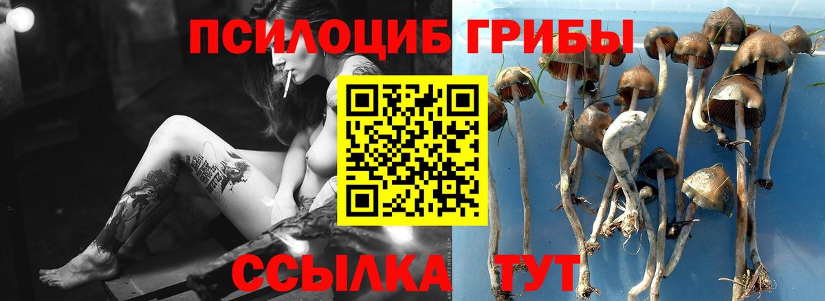 Кунгур  Галлюциногенные грибы прущие грибы  Вход с VPN  Псилоцибиновые грибы прущие грибы 