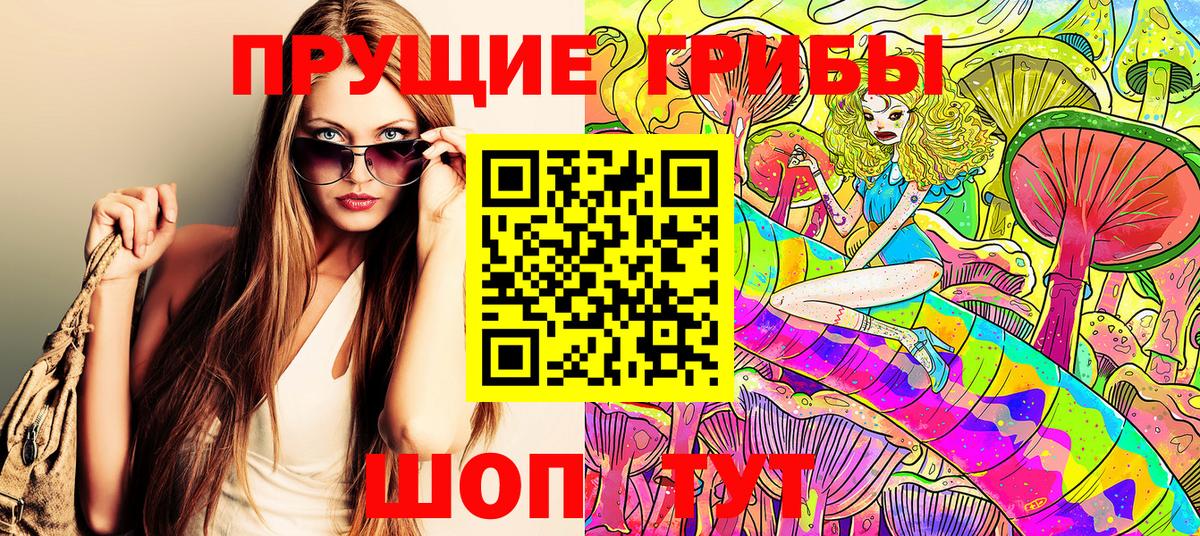 Псилоцибиновые грибы прущие грибы Кунгур